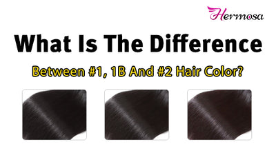 What Is The Difference Between #1, 1B And #2 Hair Color?