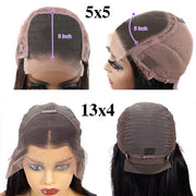 #33 Reddish Brown Curtain Bangs Wigs 13x4 HD Lace Front Human Hair Wig 180% Density