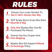 Hermosa $89 Surprise Box Win 22 Inch HD Lace Wig Value $199-$299