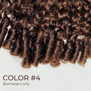 Burmese Curly Colored Wig with Finger Coil Ends Glueless 13x6 HD Lace Frontal Human Hair Wigs with Elastic Drawstring