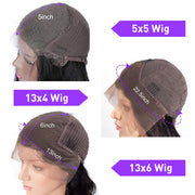 Skunk Stripe Wig With Honey Blonde Highlights Straight Hair HD Lace Front Wigs With Streaks In Front