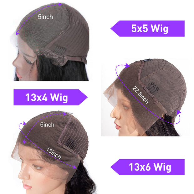 Skunk Stripe Wig With Honey Blonde Highlights Straight Hair HD Lace Front Wigs With Streaks In Front