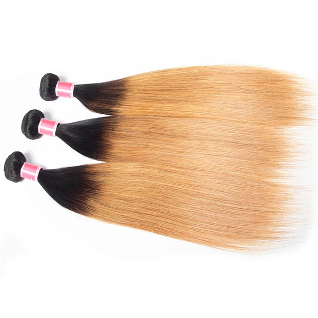 Ombre T1b/27 Straight Hair 3 Bundles with Closure Free Part Virgin Human Hair Free Part